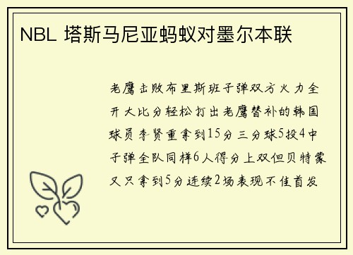 NBL 塔斯马尼亚蚂蚁对墨尔本联